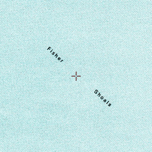 Topographic Map of Fisher Shoals, TX