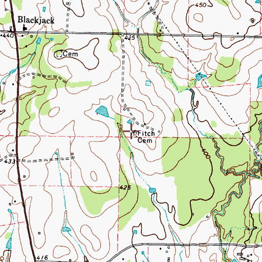 Topographic Map of Fitch Cemetery, TX