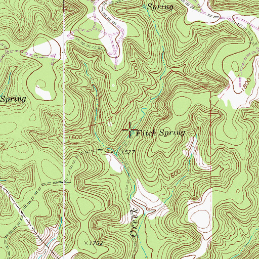Topographic Map of Fitch Spring, TX