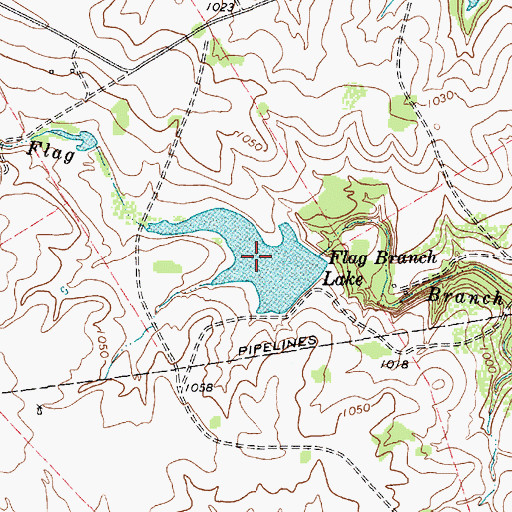Topographic Map of Flag Branch Lake, TX
