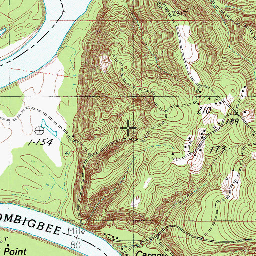 Topographic Map of Brown Cemetery, AL