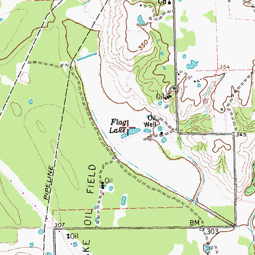 Topographic Map of Flag Lake, TX