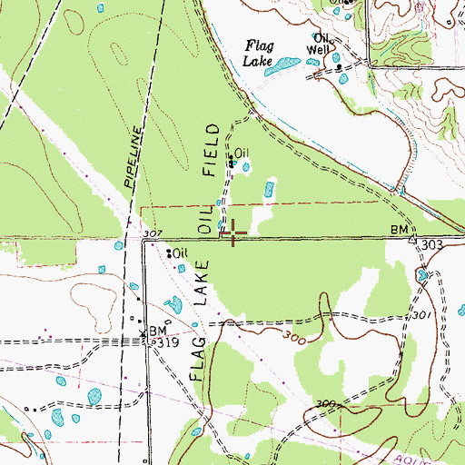 Topographic Map of Flag Lake Oil Field, TX