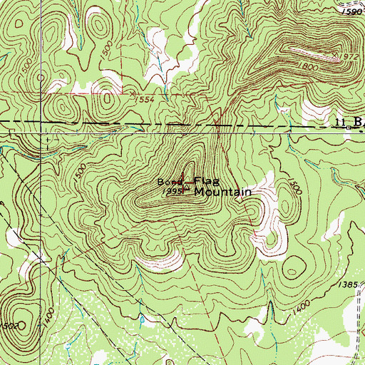 Topographic Map of Flag Mountain, TX