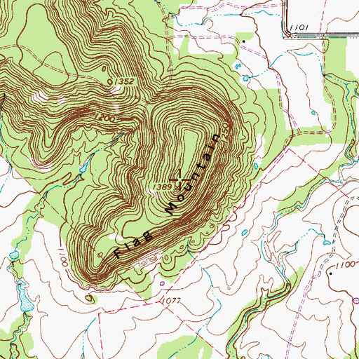 Topographic Map of Flag Mountain, TX