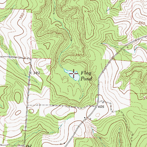 Topographic Map of Flag Pond, TX