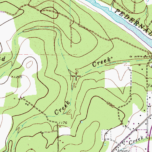 Topographic Map of Flat Creek, TX