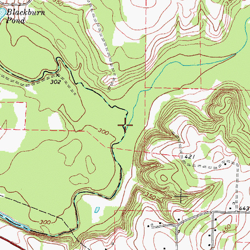 Topographic Map of Flat Creek, TX