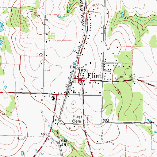 Topographic Map of Flint, TX