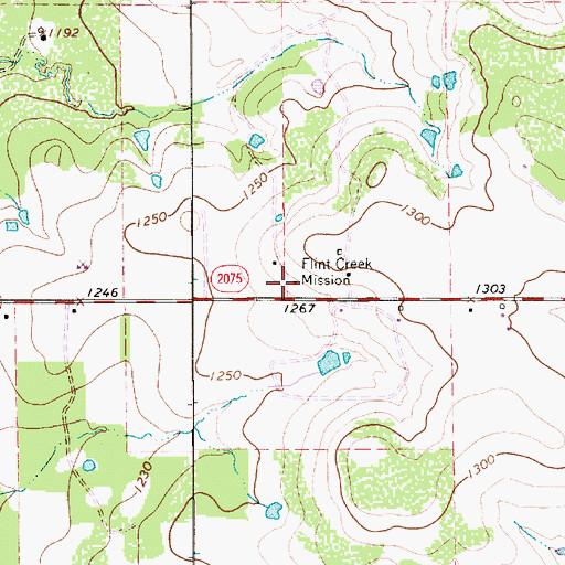 Topographic Map of Flint Creek Mission, TX