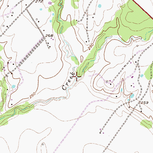 Topographic Map of Fllinger Branch, TX