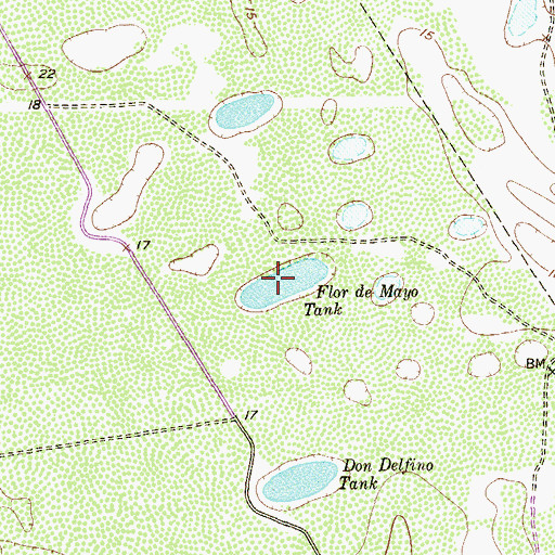Topographic Map of Flor de Mayo Tank, TX