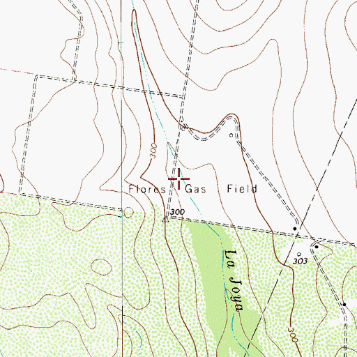 Topographic Map of Flores Gas Field, TX