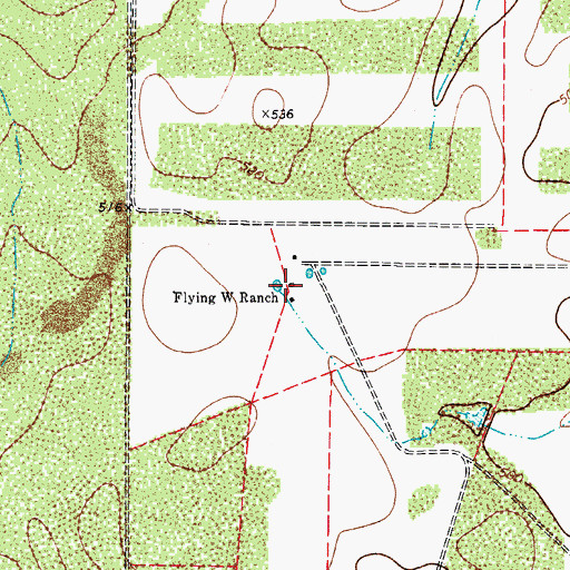 Topographic Map of Flying W Ranch, TX