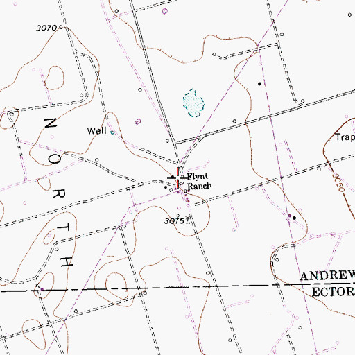 Topographic Map of Flynt Ranch, TX
