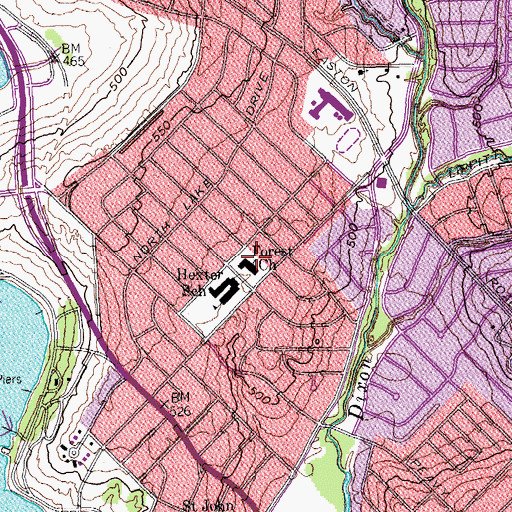 Topographic Map of Forest Church, TX