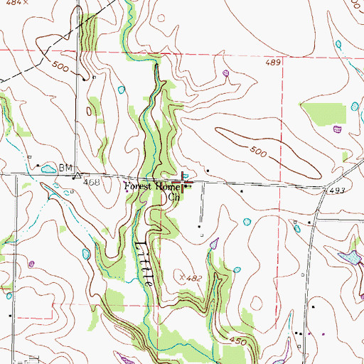 Topographic Map of Forest Home Church, TX