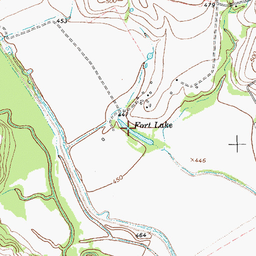 Topographic Map of Fort Lake, TX