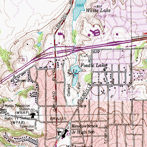 Topographic Map of Fosdic Lake, TX
