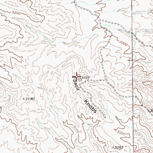Topographic Map of Fossil Knobs, TX