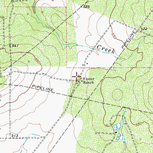 Topographic Map of Foster Ranch, TX