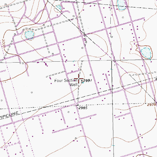 Topographic Map of Four Section Well, TX