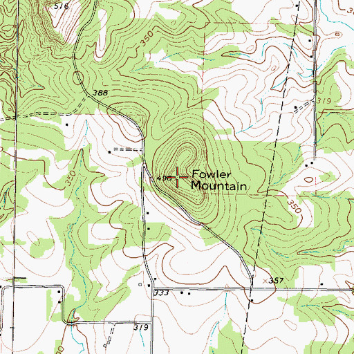Topographic Map of Fowler Mountain, TX