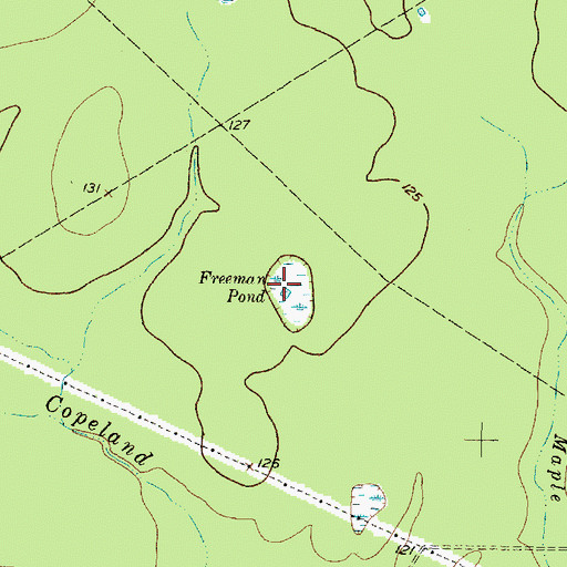 Topographic Map of Freeman Pond, TX
