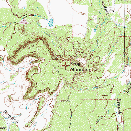 Topographic Map of Frog Mountain, TX