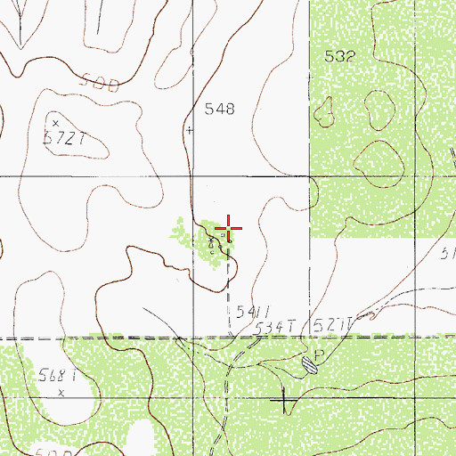 Topographic Map of G W Chapman, TX