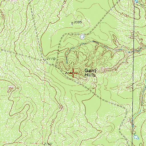 Topographic Map of Gant Hills, TX