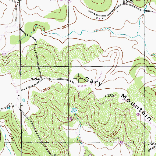 Topographic Map of Gary Mountain, TX