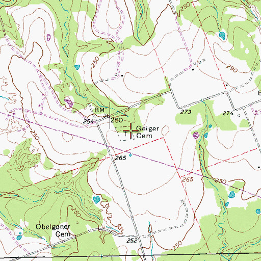 Topographic Map of Geiger Cemetery, TX