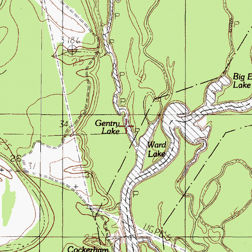 Topographic Map of Gentry Lake, TX