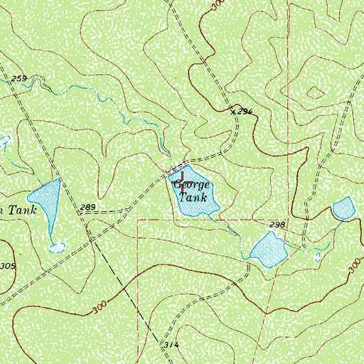 Topographic Map of George Tank, TX