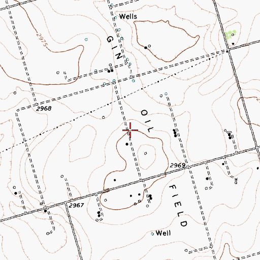 Topographic Map of Gin Oil Field, TX