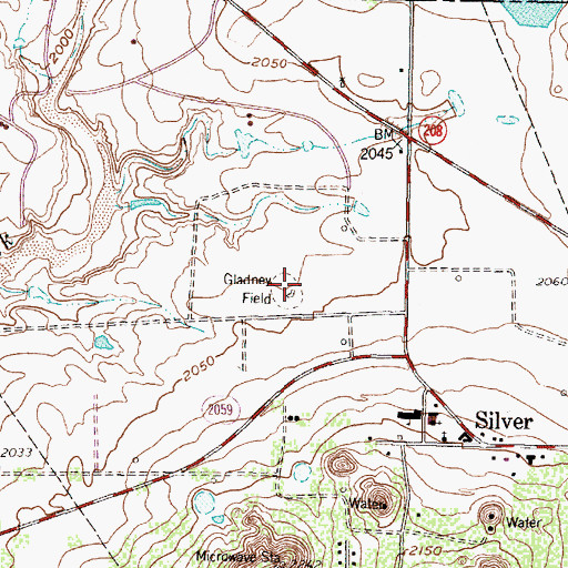 Topographic Map of Gladney Field, TX