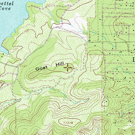 Topographic Map of Goat Hill, TX