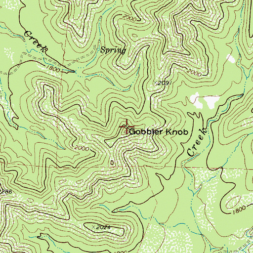 Topographic Map of Gobbler Knob, TX