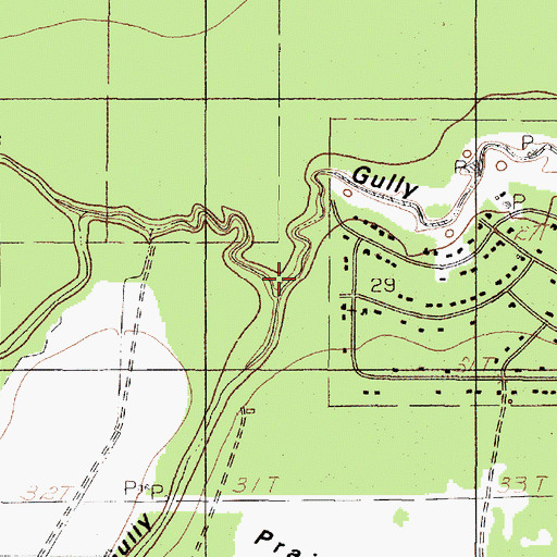 Topographic Map of Goleman Gully, TX