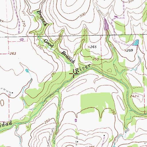 Topographic Map of Good Branch, TX
