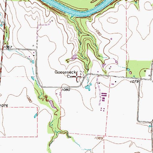Topographic Map of Gooseneck Cemetery, TX