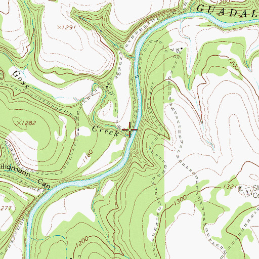 Topographic Map of Goss Creek, TX