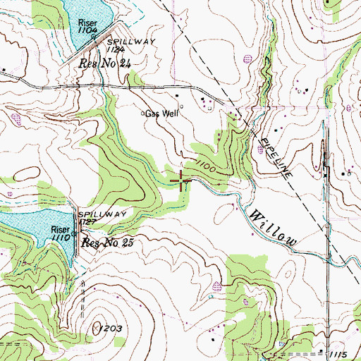 Topographic Map of Graham Branch, TX