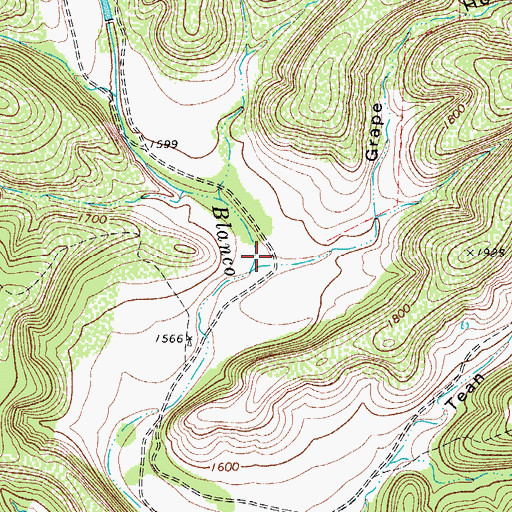 Topographic Map of Grape Hollow, TX