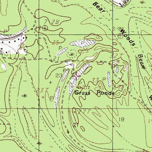 Topographic Map of Grass Ponds, TX