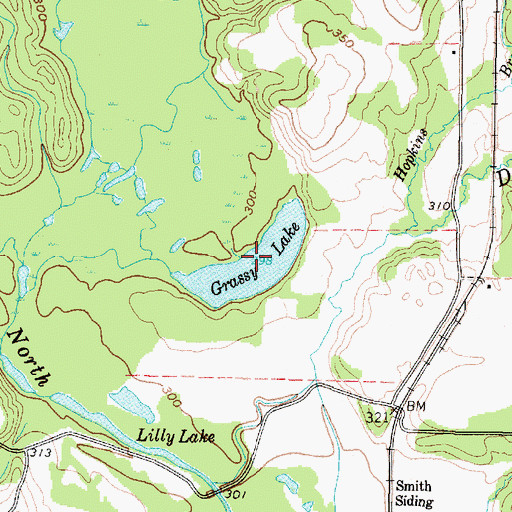 Topographic Map of Grassy Lake, TX