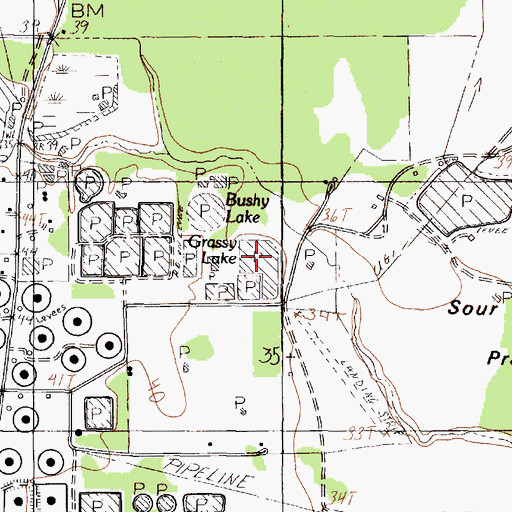 Topographic Map of Grassy Lake, TX