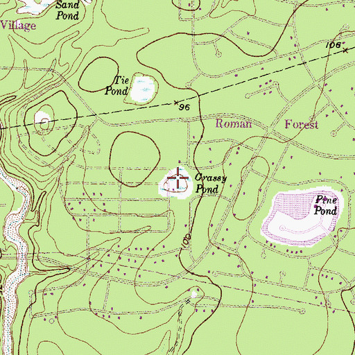 Topographic Map of Grassy Pond, TX