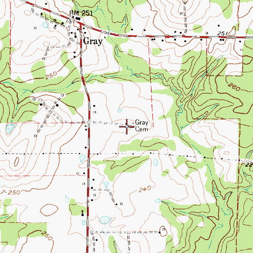 Topographic Map of Gray Cemetery, TX